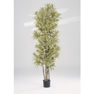 https://www.techni-contact.ovh/ressources/images/produits/merchandising/arbre-dracaena-reflexa-4070000-1.jpg - Hauteur : 150 cm