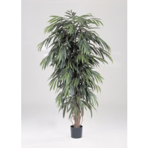 https://www.techni-contact.ovh/ressources/images/produits/merchandising/arbre-longifolia-semi-naturelles-5060156-1.jpg - Hauteur : 210 cm
