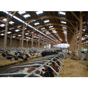 https://www.techni-contact.ovh/ressources/images/produits/merchandising/batiment-d-elevage-11582361-1.jpg - Charpente métallique ou bois