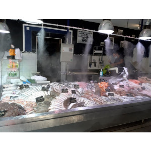 https://www.techni-contact.ovh/ressources/images/produits/merchandising/brumisation-pour-poissonnerie-55459272-1.jpg - Conserve vos poissons frais et limite les pertes