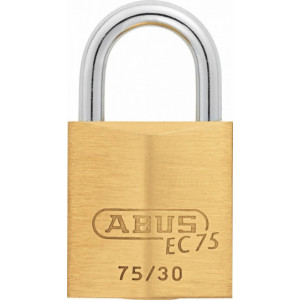https://www.techni-contact.ovh/ressources/images/produits/merchandising/cadenas-securite-multi-usage-largeur-30-mm-11187057-1.jpg - Niveau de sécurité :5 - Diamètre anse : 5 mm -En laiton massif