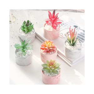 https://www.techni-contact.ovh/ressources/images/produits/merchandising/catctus-en-pot-marbre-12697327-1.jpg - cactus pot en marbe