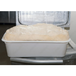 https://www.techni-contact.ovh/ressources/images/produits/merchandising/equipement-de-fermentation-boulangerie-32215212-1.jpg - Taille : dimensions standard et adaptable au modèle d’armoire de fermentation
