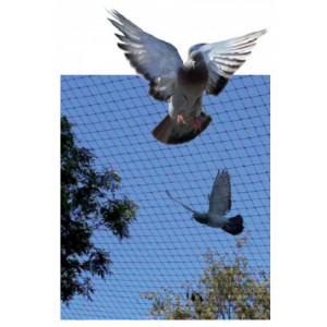 https://www.techni-contact.ovh/ressources/images/produits/merchandising/filet-de-protection-anti-pigeons-10241860-1.jpg - Maille carrée (mm) : de 25 à 70