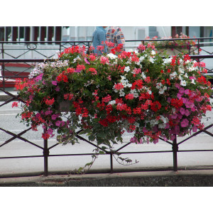 https://www.techni-contact.ovh/ressources/images/produits/merchandising/jardiniere-patrimoine-1050-mm-11804547-1.jpg - Pot de fleurissement Patrimoine