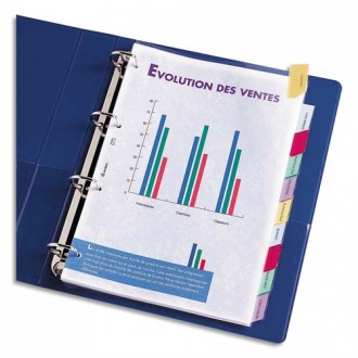 Jeu d'intercalaires 12 positions à onglets, en PVC 15/100e