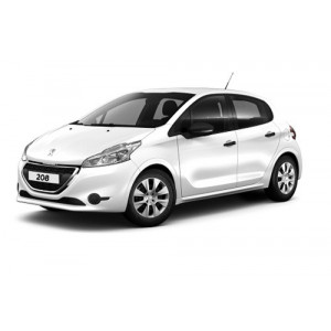 https://www.techni-contact.ovh/ressources/images/produits/merchandising/location-longue-duree-peugeot-208-societe-97851732-1.jpg - Energie : Diesel