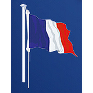 https://www.techni-contact.ovh/ressources/images/produits/merchandising/mat-de-pavillon-4244039-1.jpg - Dimensions : de 20 x 30 cm jusqu’à 300 x 450 cm