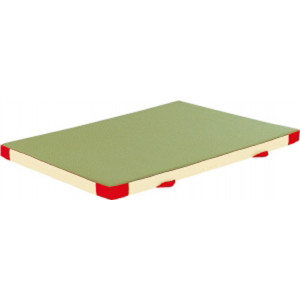 https://www.techni-contact.ovh/ressources/images/produits/merchandising/matelas-de-chute-pour-gymnastique-5912589-1.jpg - Dimensions (L x l x ép.) : 200 x 140 x 10 cm