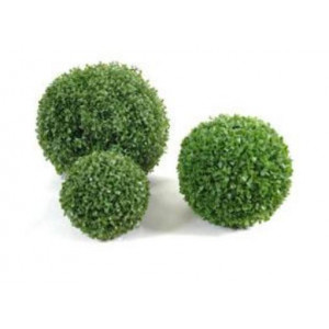 https://www.techni-contact.ovh/ressources/images/produits/merchandising/plante-d-exterieur-buis-boule-11443866-1.jpg - Traitée anti-UV