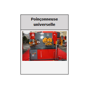 https://www.techni-contact.ovh/ressources/images/produits/merchandising/poiconneuse-hydraulique-41737-1.jpg - Capacités de 66 à 200 Tonnes