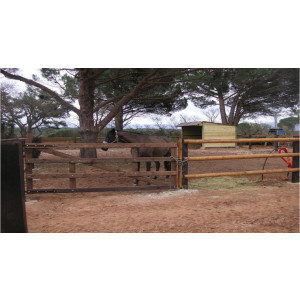 https://www.techni-contact.ovh/ressources/images/produits/merchandising/portail-pour-cloture-equestre-11917760-1.jpg - Un vantail : 1m40 de hauteur