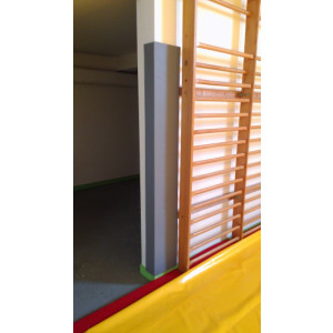 https://www.techni-contact.ovh/ressources/images/produits/merchandising/protection-d-angle-salle-de-sport-7954811-1.jpg - En mousse PE de 4cm et mousse PU de 10cm