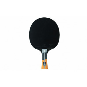 https://www.techni-contact.ovh/ressources/images/produits/merchandising/raquette-de-ping-pong-familliale-8259901-1.jpg - Vitesse : 9 - Effet : 9 - Control : 6