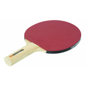 https://www.techni-contact.ovh/ressources/images/produits/merchandising/raquette-de-ping-pong-loisirs-10258059-1.jpg - Vitesse : 8 - Effet : 8 - Contrôle : 7