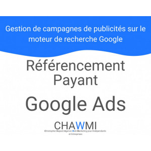 https://www.techni-contact.ovh/ressources/images/produits/merchandising/referencement-payant-google-ads-77493853-1.jpg - Booste la visibilité des sites internet - Budget publicitaire défini