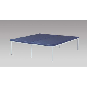 https://www.techni-contact.ovh/ressources/images/produits/merchandising/table-de-kinesitherapie-11906289-1.jpg - Capacité : 130 Kg - Dim : L.200 x l.100 x H.50 cm