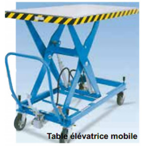 https://www.techni-contact.ovh/ressources/images/produits/merchandising/table-elevatrice-mobile-sur-mesure-13040949-1.jpg - Conception très robuste