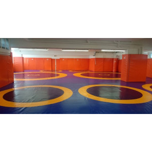 https://www.techni-contact.ovh/ressources/images/produits/merchandising/tapis-de-lutte-7505486-1.jpg - Cercles de complément pour l' entraînement à la demande