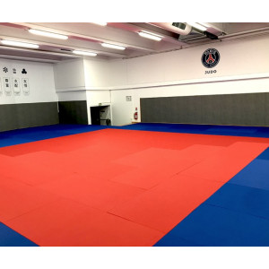 https://www.techni-contact.ovh/ressources/images/produits/merchandising/tatamis-pour-judo-mma-karate-et-aikido-71136177-1.jpg - Découvrez notre large choix de Tatamis Arts Martiaux