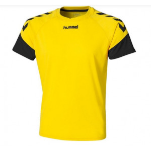 https://www.techni-contact.ovh/ressources/images/produits/merchandising/tenues-de-foot-a-col-rond-42138541-1.jpg - Maillot de foot jaune et noir