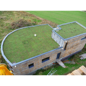 https://www.techni-contact.ovh/ressources/images/produits/merchandising/toit-vegetalise-sur-maison-en-bois-14959253-1.jpg - Isolation - imperméabilité - esthétique