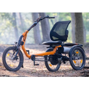 https://www.techni-contact.ovh/ressources/images/produits/merchandising/tricycles-avec-assistance-electrique-77721152-1.jpg - Pneus avant : 20 pouces x 2,00 – Schwalbe