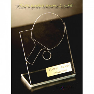 https://www.techni-contact.ovh/ressources/images/produits/merchandising/trophees-de-sport-plie-en-plexiglas-17115872-1.jpg - Dimensions : 90 x 80 x 40 mm