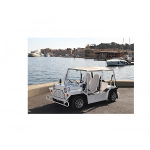https://www.techni-contact.ovh/ressources/images/produits/merchandising/voiturette-4-places-homologuee-15525561-1.jpg - 4 Places.Disponible également en location