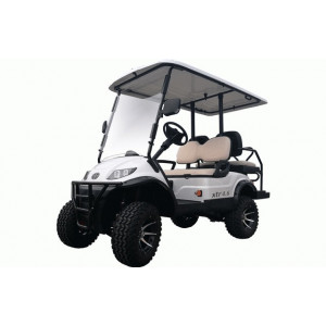 https://www.techni-contact.ovh/ressources/images/produits/merchandising/voiturette-electrique-golf-4-places-21772464-1.jpg - voiturette 4 places