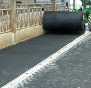 Tapis de circulation bovins
