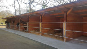 Abri de stabulation chevaux