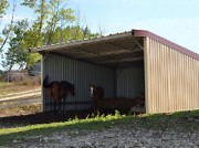 Abris pour chevaux