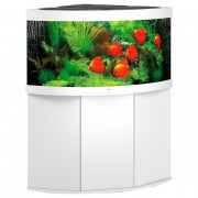 Aquarium d'angle avec meuble