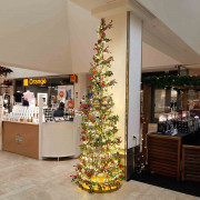 Arbre de noël illuminé