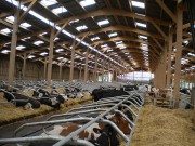Bâtiment agricole en kit - Charpente métallique ou en bois