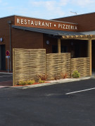 Brise-vue eucalyptus PRETORIA