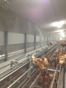 Brumisation pour agriculture