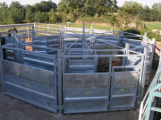 Cage de contention pour bovins