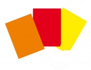 Cartons arbitre pétanque