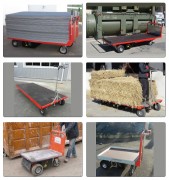 Chariot plateau motorisé