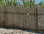 Clôture eucalyptus CORDEA