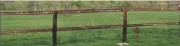Clôture chevaux