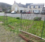 Clôture en osier vivant tressage losange