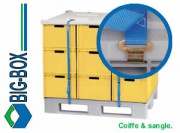 Coiffe et sangle pour palette