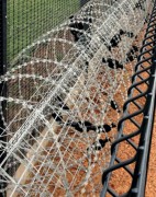 Concertina électrifié répulsif