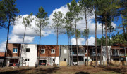 Construction de logements collectifs en bois