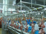 Convoyeur aérien pour abattoir