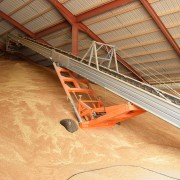 Convoyeur sauterelle pour céréales - Longueur 6 à 30 m - Débit 600 t/h