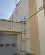 Crinoline sur bâtiment industriel - Acier galvanisé, aluminium ou inox